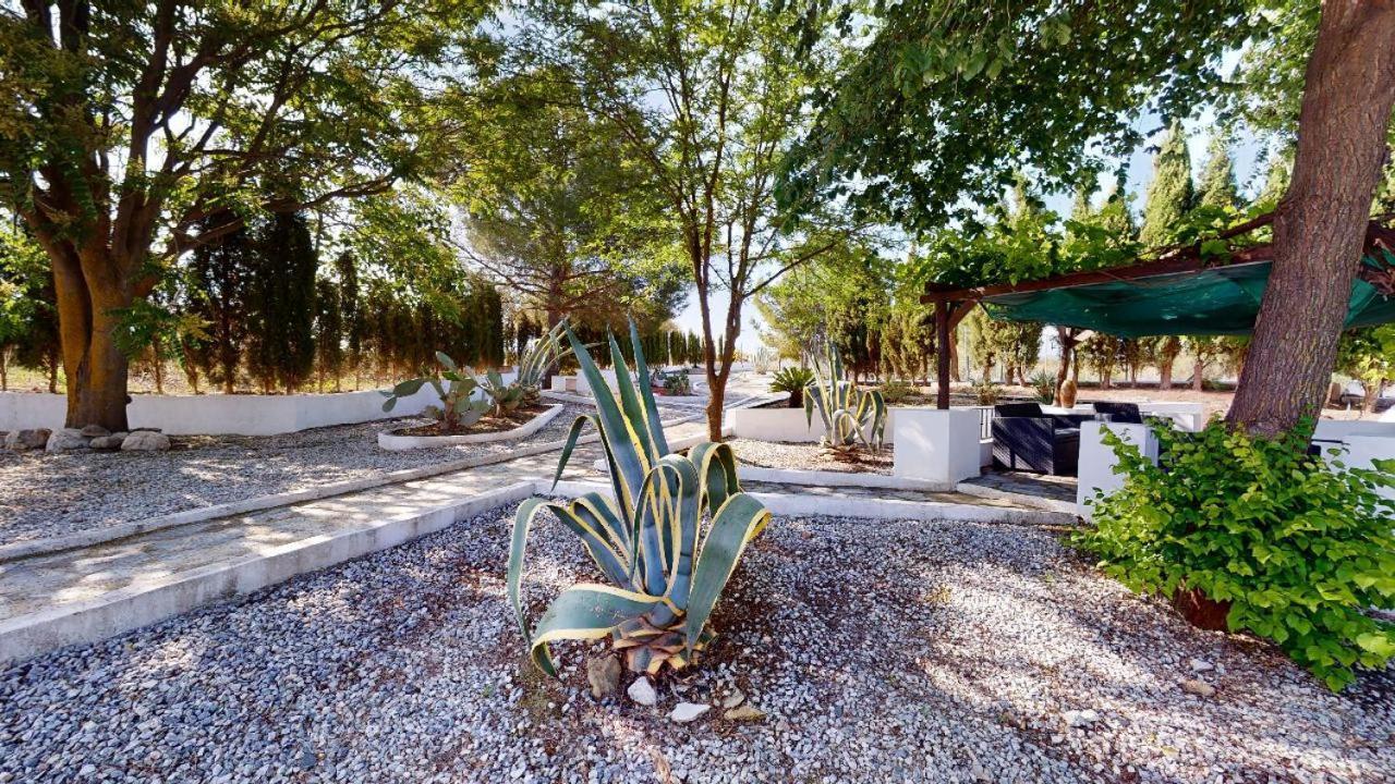 Bed and Breakfast Casa Lucia Caniles Exterior foto